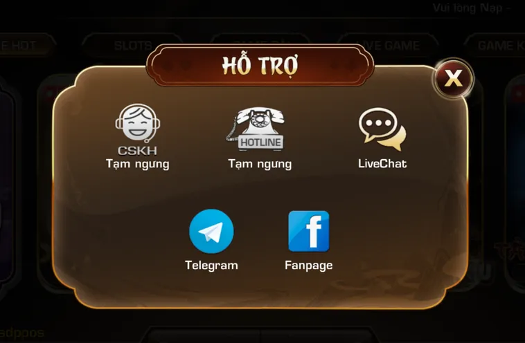 Đội ngũ hỗ trợ khách hàng chuyên nghiệp tận tâm hoạt động 24/7.